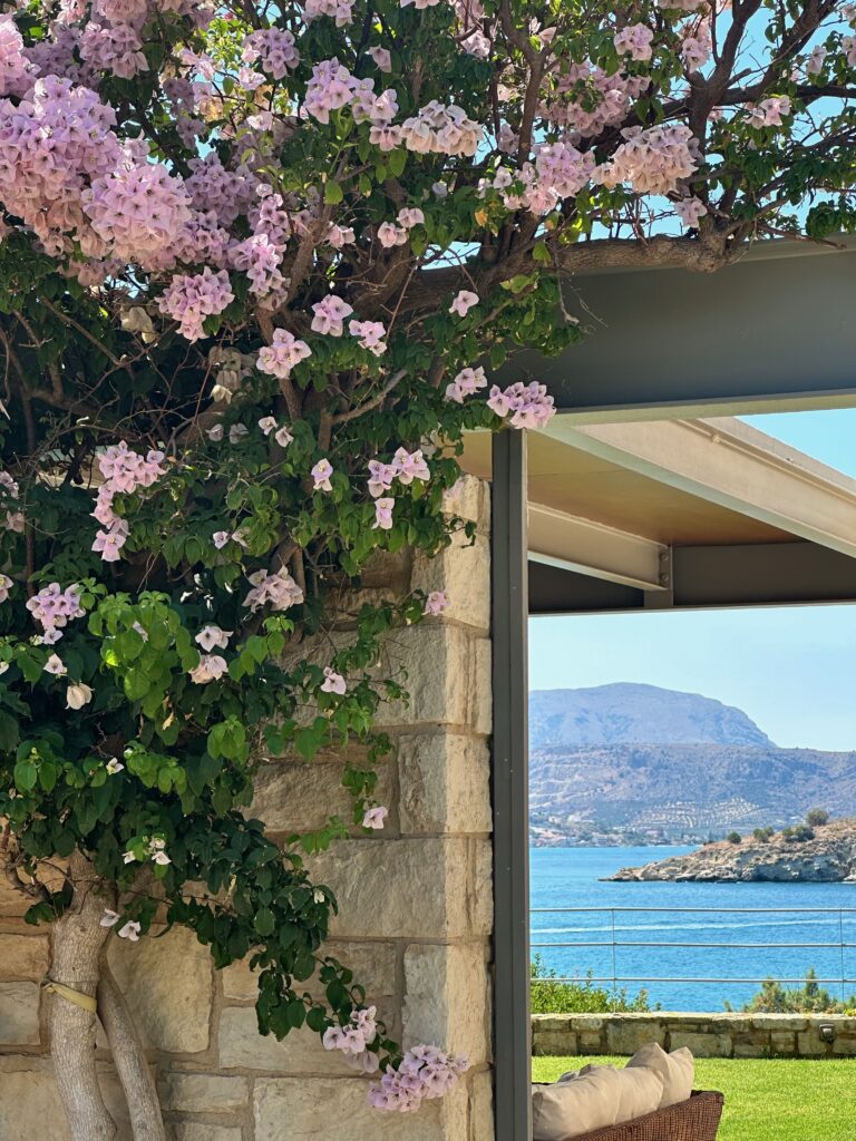 SKPlace Luxury Villas in Crete